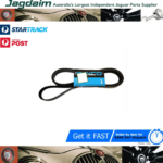 New Jaguar Drive Belt XJ8 XK8  NCA2211AC*