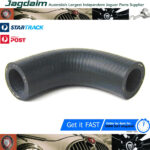 New Jaguar XJ6 1972-1978 Throttle Housing Elbow Hose C41343