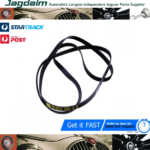 New Jaguar Drive Belt Engine S Type  X350  XJ XF 3.0 Petrol  C2C28085