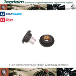 New Jaguar Upper Wishbone Bush CAC9295