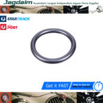 New Jaguar XF XJ S-Type Water Seal JDE1699