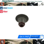 New Jaguar S-Type XJ X-Type Engine Valve Seal Stem XR85231