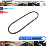 New Jaguar Daimler XJ6 E-Type S2 S3 Accessory Alternator Drive Belt EAC3764