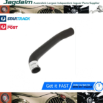 New Jaguar Top Radiator Hose MK10 RH  C23865