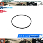 New Jaguar Fan Belt C43