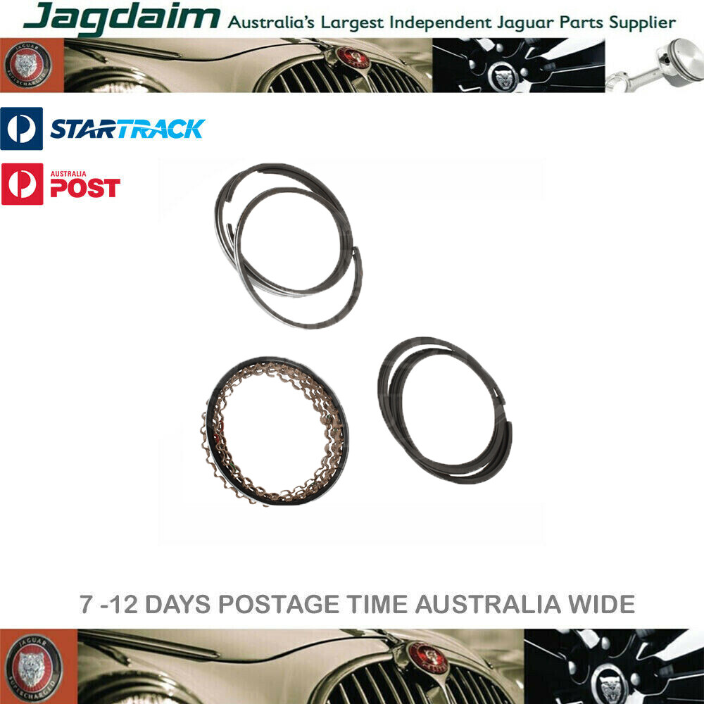 57-3882.jpg New Jaguar Piston Ring Set +20 R32592+20* - Image 1