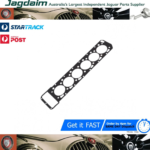New Jaguar Cylinder Head Gasket V12 RH C33135*