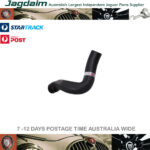 New Jaguar Lower Radiator Hose C29850K