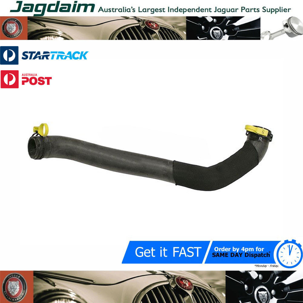 57-4361.jpg New Jaguar XJ Upper Radiator Hose C2D6004 - Image 1