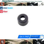 New Jaguar Daimler E-Type MK XJ XJ6 XJ40 XJS Engine Valve Stem Oil Seal EBC3531