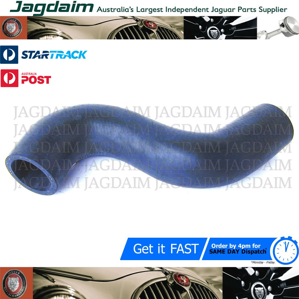 57-4493.jpg New Jaguar XJ6 1978-82 Upper Radiator Hose CAC2326 / GRH626 - Image 1