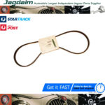 New Jaguar XJ XJ40 XJ6 XJ12 Air Water Pump Drive Belt EAC9898