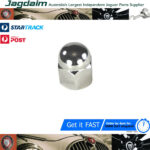 New Jaguar Daimler E-Type Mk S-Type XJ XK Chrome Engine Cylinder Head Nut C2328