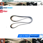 New Jaguar Drive Belt V8 XF X350 XK8 XK  C2C37063*