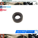 New Jaguar Daimler E-Type MK2 XJ6 Speedo Pinion Oil Drive Seal C32592