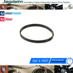 New Jaguar XK S-Type XJ XK8 X350 Thermostat O Ring Gasket Seal AJ83525