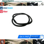 New Jaguar E-Type S1,S2,S3 FHC 2+2 Windcreen Seal Raer BD20309