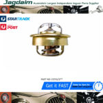 New Jaguar MK 1 / MK 7 / XK 120 / XK 140 Thermostat Bellows C3731/1