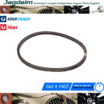New Jaguar Daimler 2.5 V8 Power Steering Drive Belt C21109