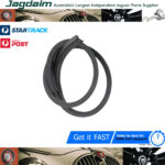 New Jaguar E-Type S1 S2 S3 Door Frame Rubber Seal BD21964/3