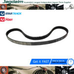 New Jaguar XJ XJ40 XJ6 XJ12 XJS Alternator Air Compressor Drive Belt EBC11306