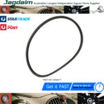 New Jaguar E-Type S1 Series 1 XKE 4.2 Water Pump Fan Belt 1965-1968 C24291 Sale
