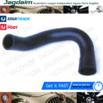 New Jaguar XJS 5.3L-V12 78-92 Radiator Coolant Hose Radiator Hose Lower  C41102