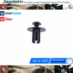 New Jaguar XJS XK8 XKR Grille Bumper Rivet Screw Clip KRS116140
