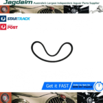 New Jaguar  Duplex/Double Vee Fan Belt - 1050mm  C19525*