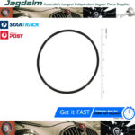 New Jaguar XJ308 XK8 Bearing Housing O Ring JLM20327