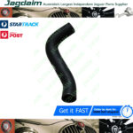 New Jaguar Daimler V8 250 Bottom Radiator Hose C21389