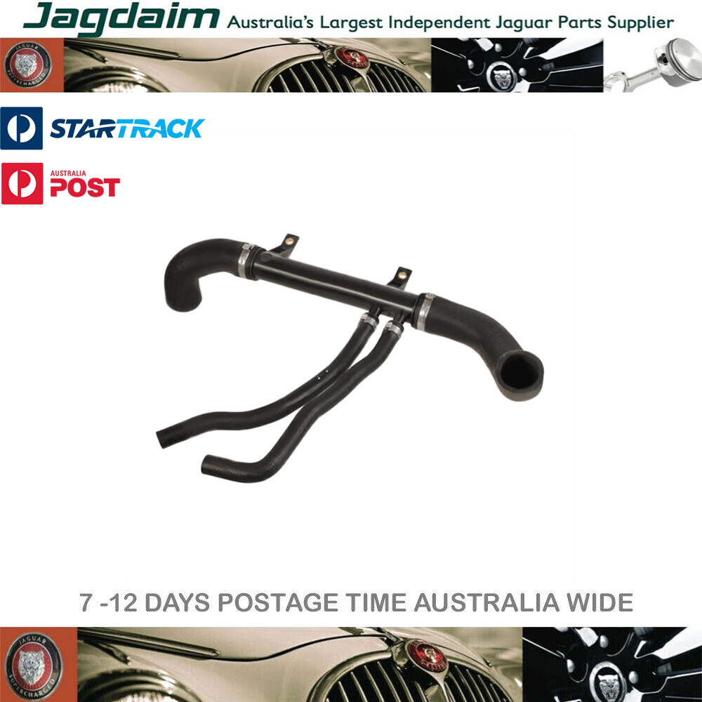 57-7069.jpg New Jaguar Bottom Radiator Hose XR825340* - Image 1