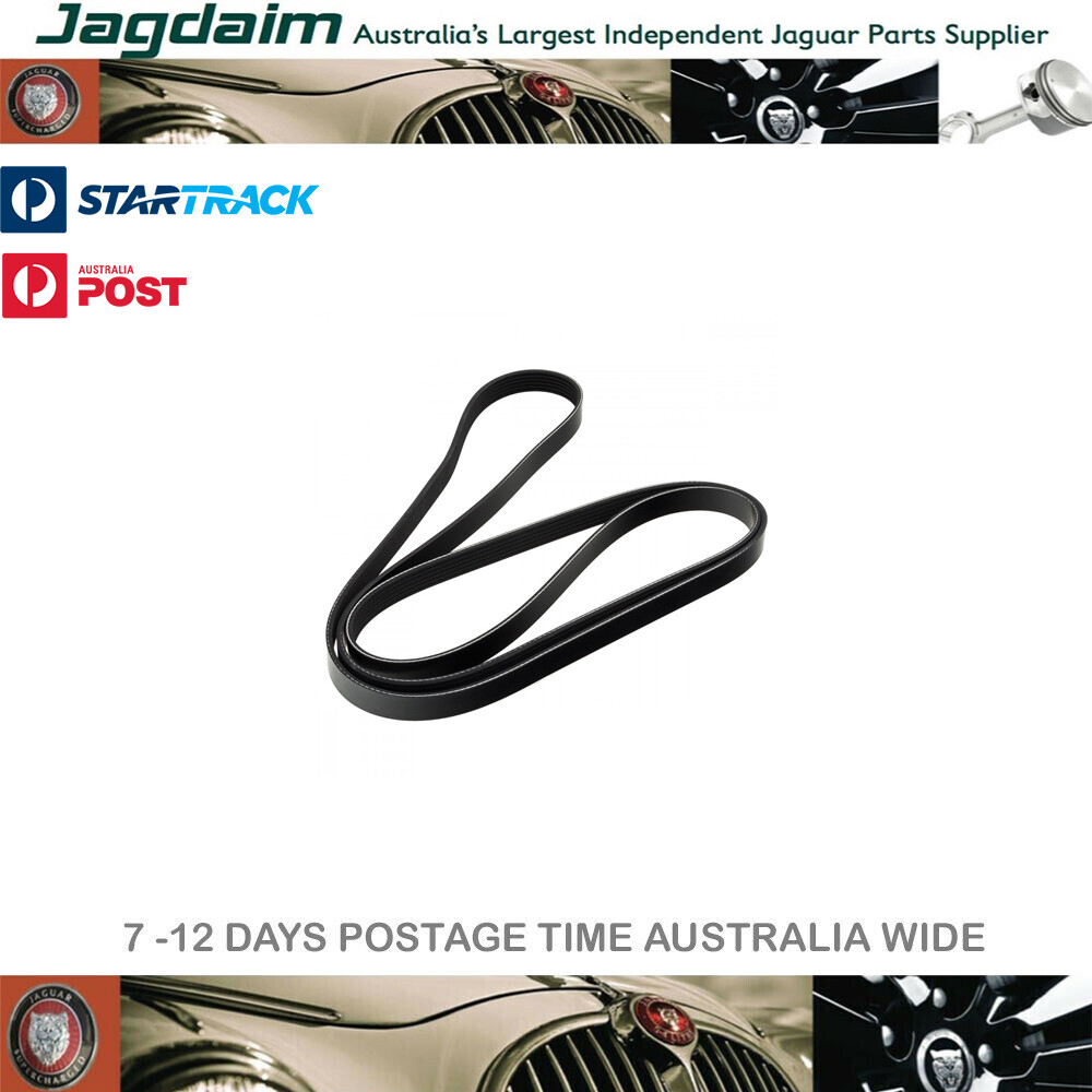 57-7239.jpg New Jaguar Drive Belt XR830447* - Image 1