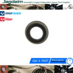 New Jaguar X-Type Cover Plate Seal C2S4875