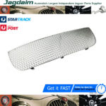 New Jaguar S-Type Lower Front Mesh S-Type Stainless Steel XR854846