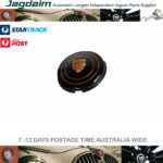 New Jaguar Horn Push Badge 5934