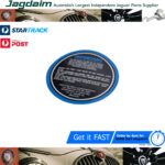 New Jaguar Run in Sticker Blue RIS001B