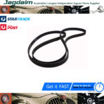 New Jaguar XK XJ XK8 XF Fan Alternator Drive Belt C2C37063