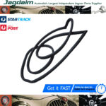 New Jaguar XJ6 XJ12 S1 S2 Seal Door Left Hand Rear RTC2611