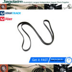 New Jaguar X-Type Engine Drive Belt C2S24900